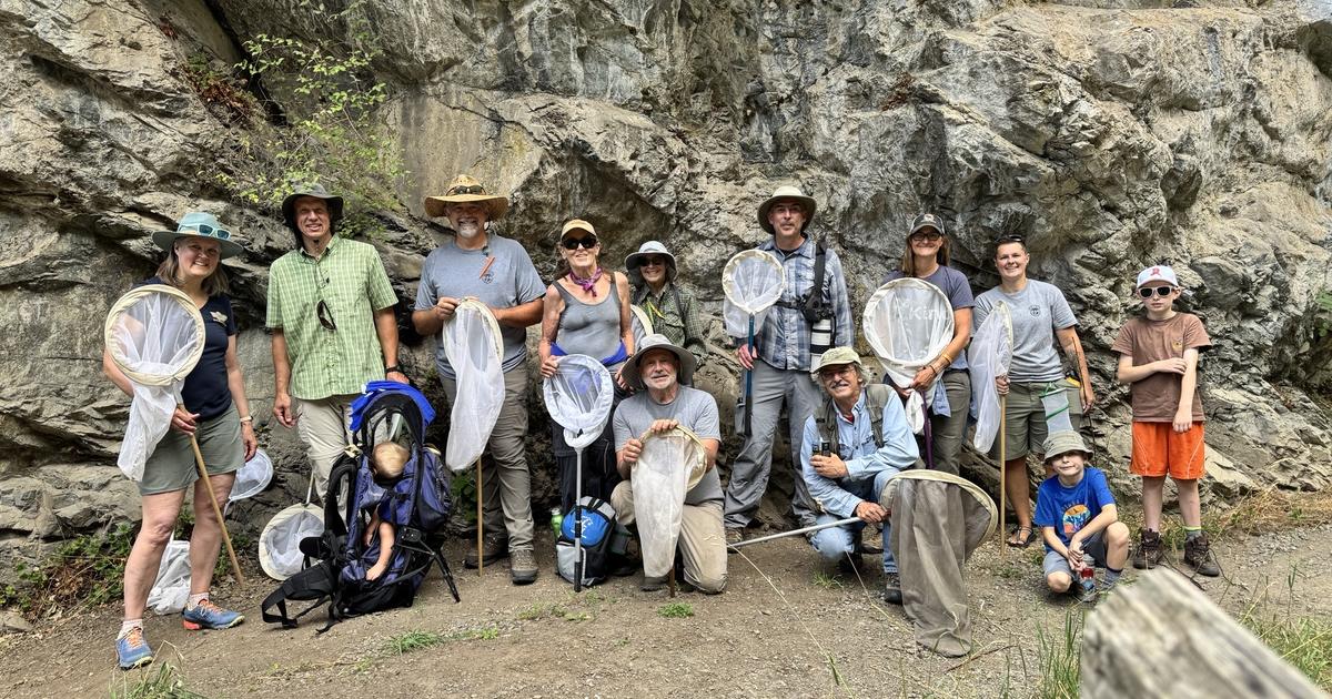 Seven Devil's butterfly count provides valuable data for conservation