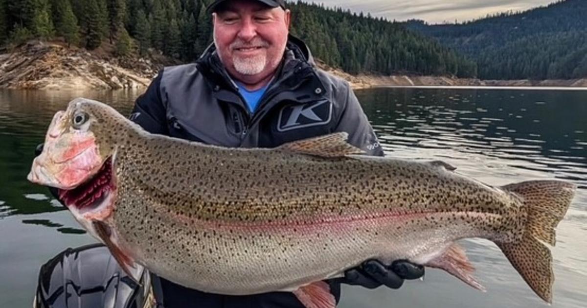 Fruitland angler catches new state record rainbow trout at