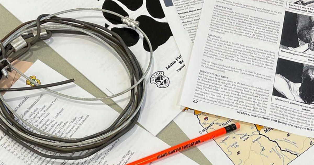 Upcoming trapper and wolf trapper education courses in Salmon