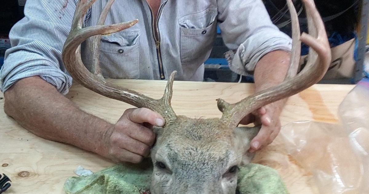 Cottonwood resident receives lifetime hunting revocation for poaching
