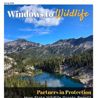 pdf preview