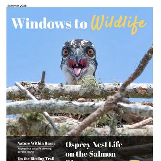 pdf preview