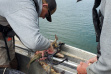 fish_and_game_personnel_assist_with_blackfoot_reservoir_survey_june_2022