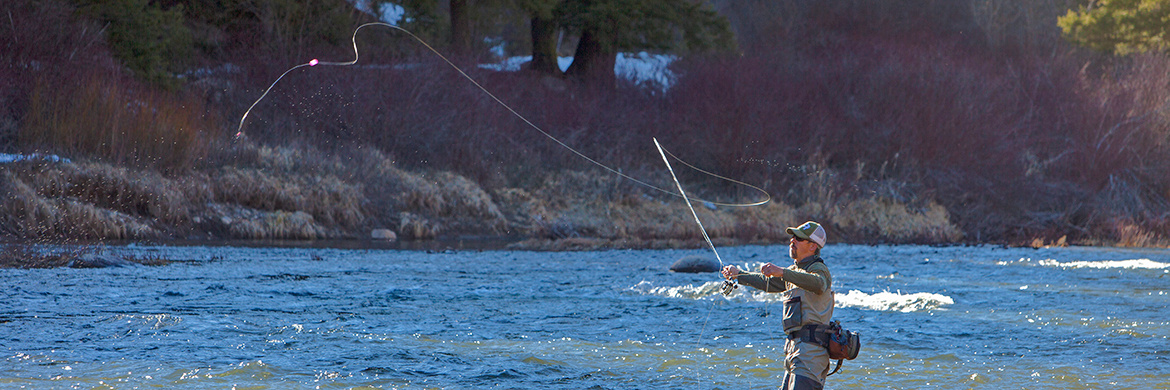 Idaho Fish and Game | Idaho Fish and Game