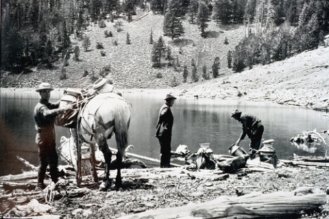 1921_fish_stocked_into_mountain_lakes_idfg