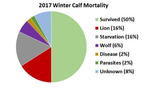 2017 R1 calf mortality graph