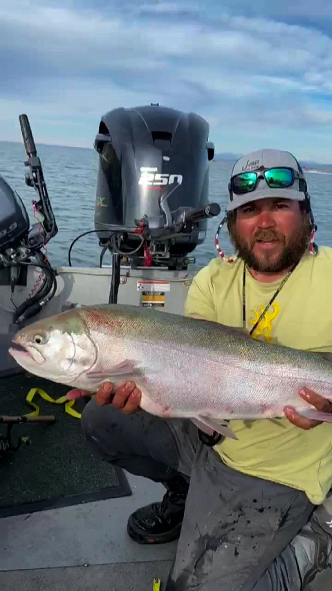 Brett Jones rainbow trout