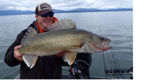 Walleye caught in Lake Pend Oreille