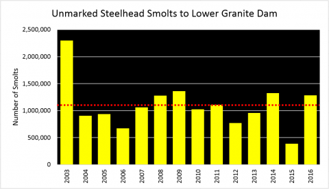 Unmarked steelhead smolts to Lower Granite Dam  graph