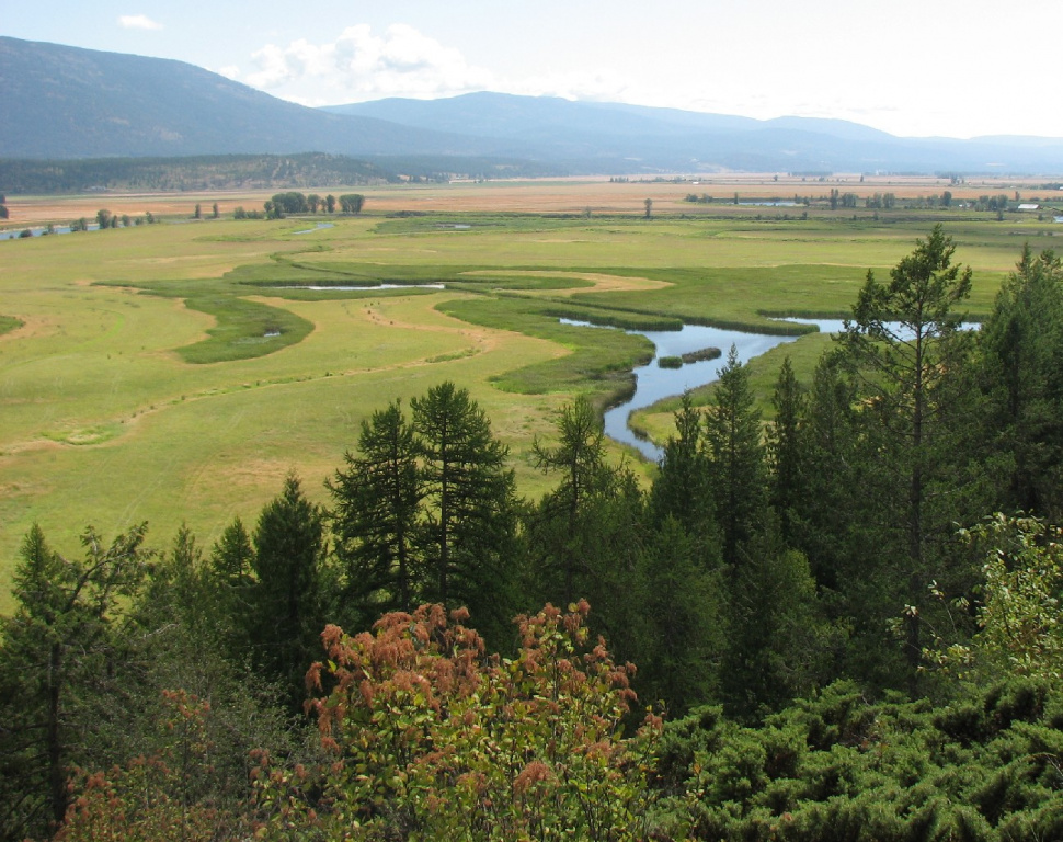 A Faraway Meadow Idaho Fish and Game