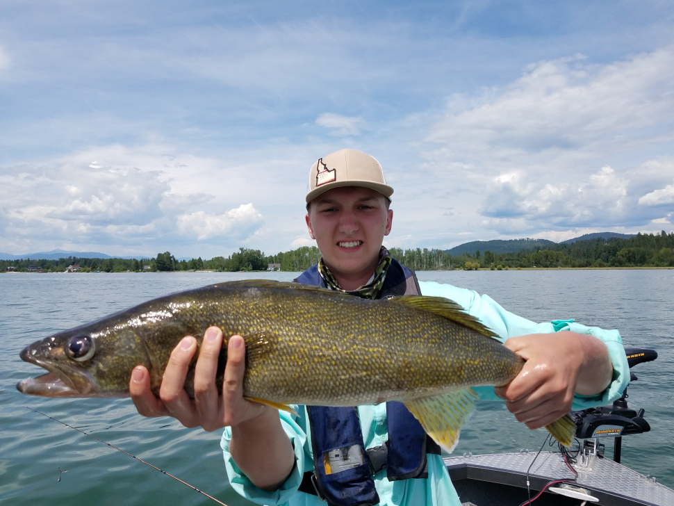 Walleye locations in Lake Pend Oreille (lateJuly to mid