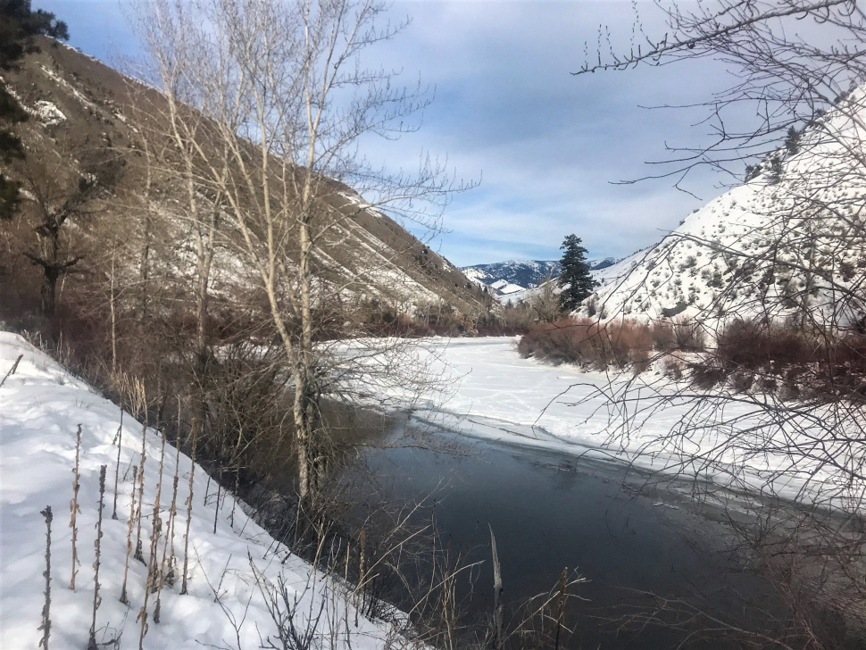 March 9 Upper Salmon River steelhead fishing report Idaho Fish and Game