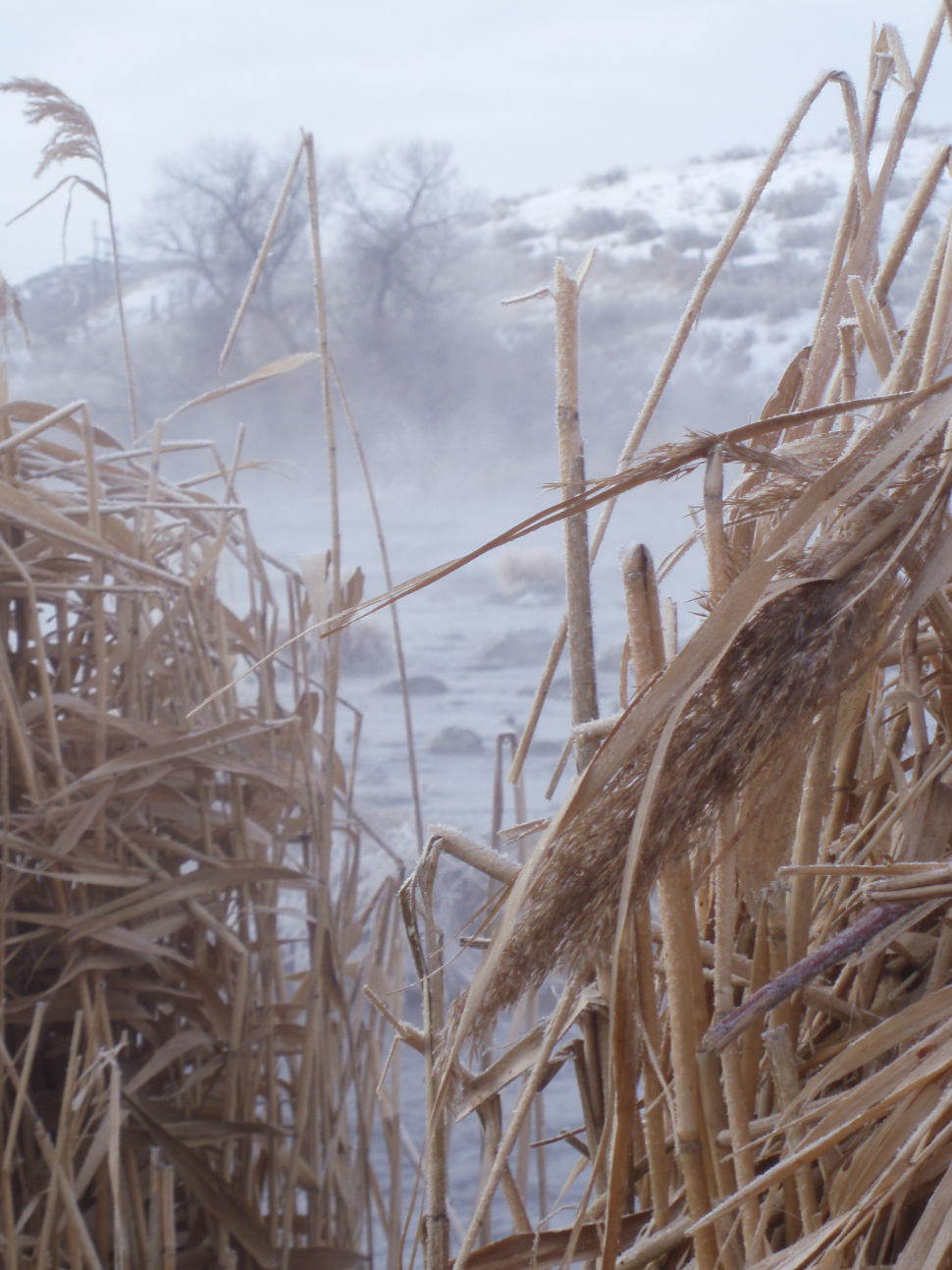Waterfowl hunts open in portions of the state Oct. 6 and most others