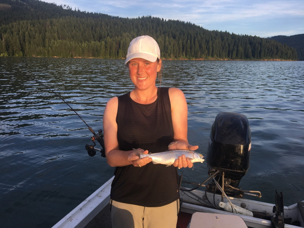 Kokanee numbers high in Dworshak Reservoir; Expect high catch rates of ...