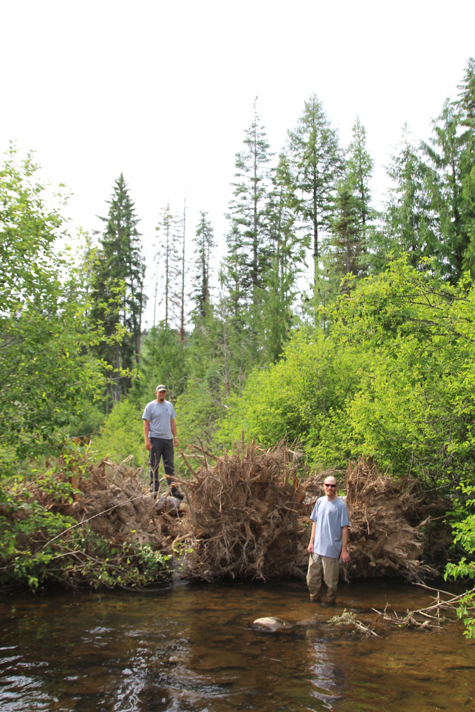 Making steelhead habitat complex Idaho Fish and Game