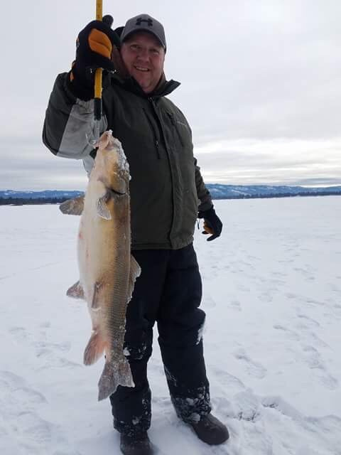 Lake Cascade produces new state-record largescale sucker 