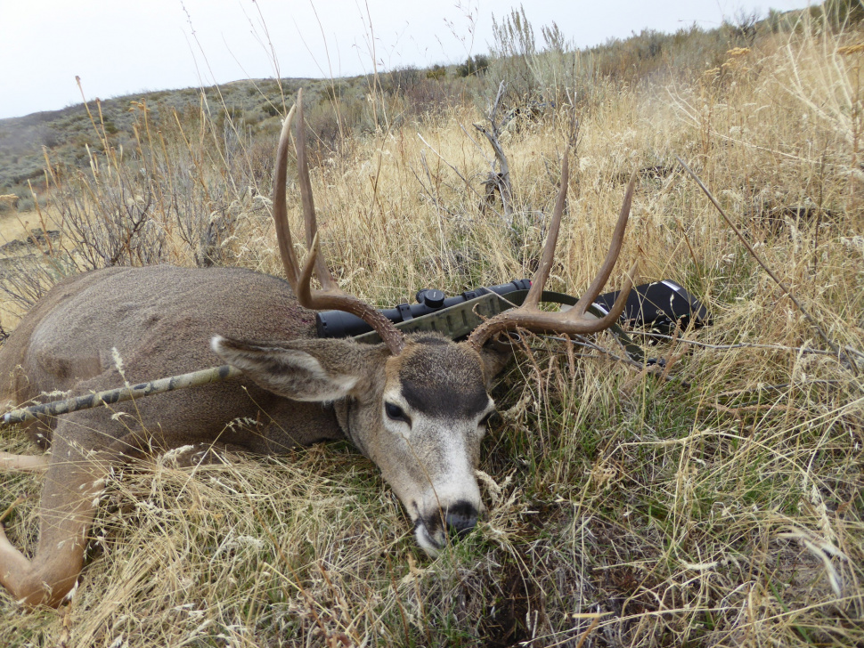 Proper Carcass Disposal Completes a Successful Hunt Idaho Fish and Game