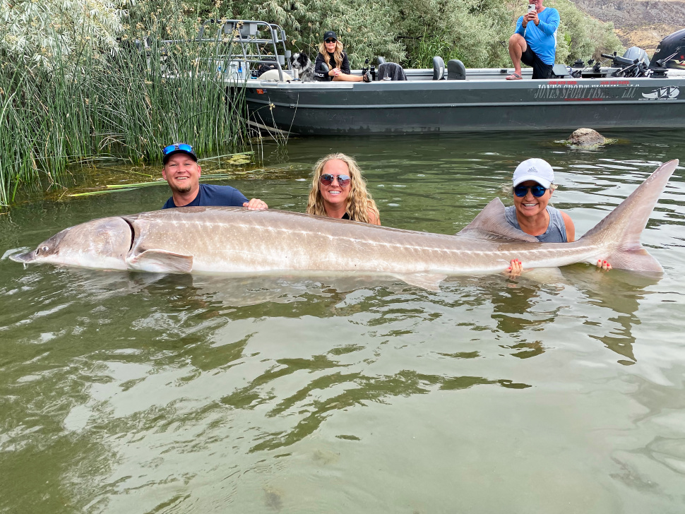 Monster Sturgeon Tops State Record List | Idaho Fish And Game