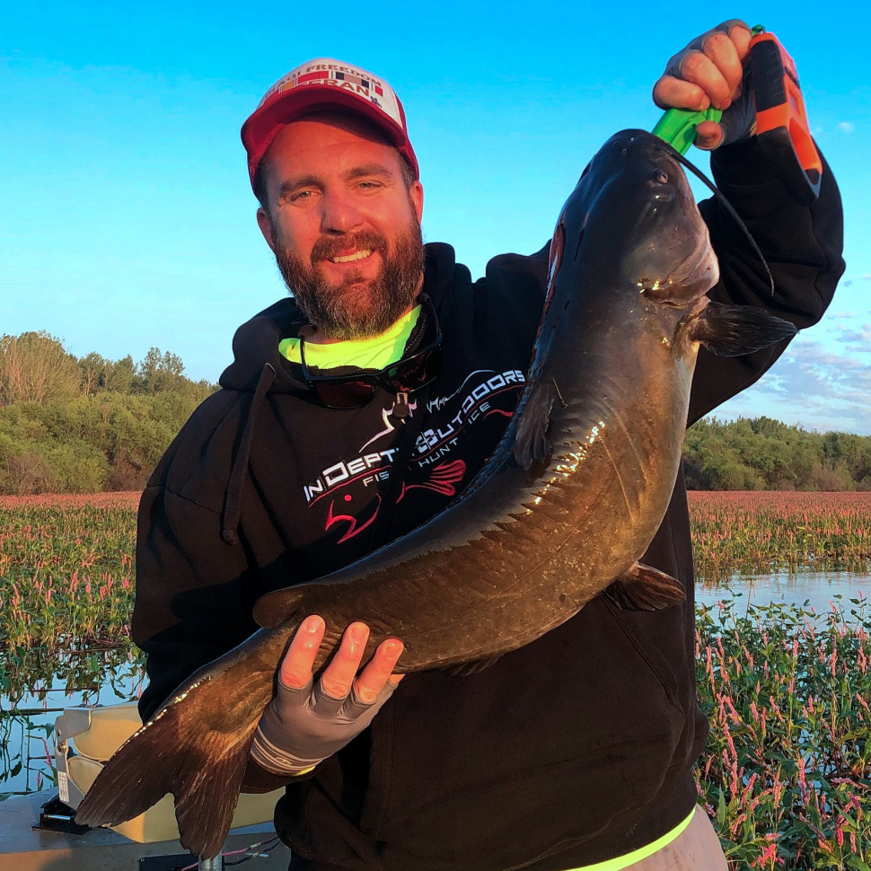  Lake Lowell produces record catfish for Meridian angler Idaho Fish 