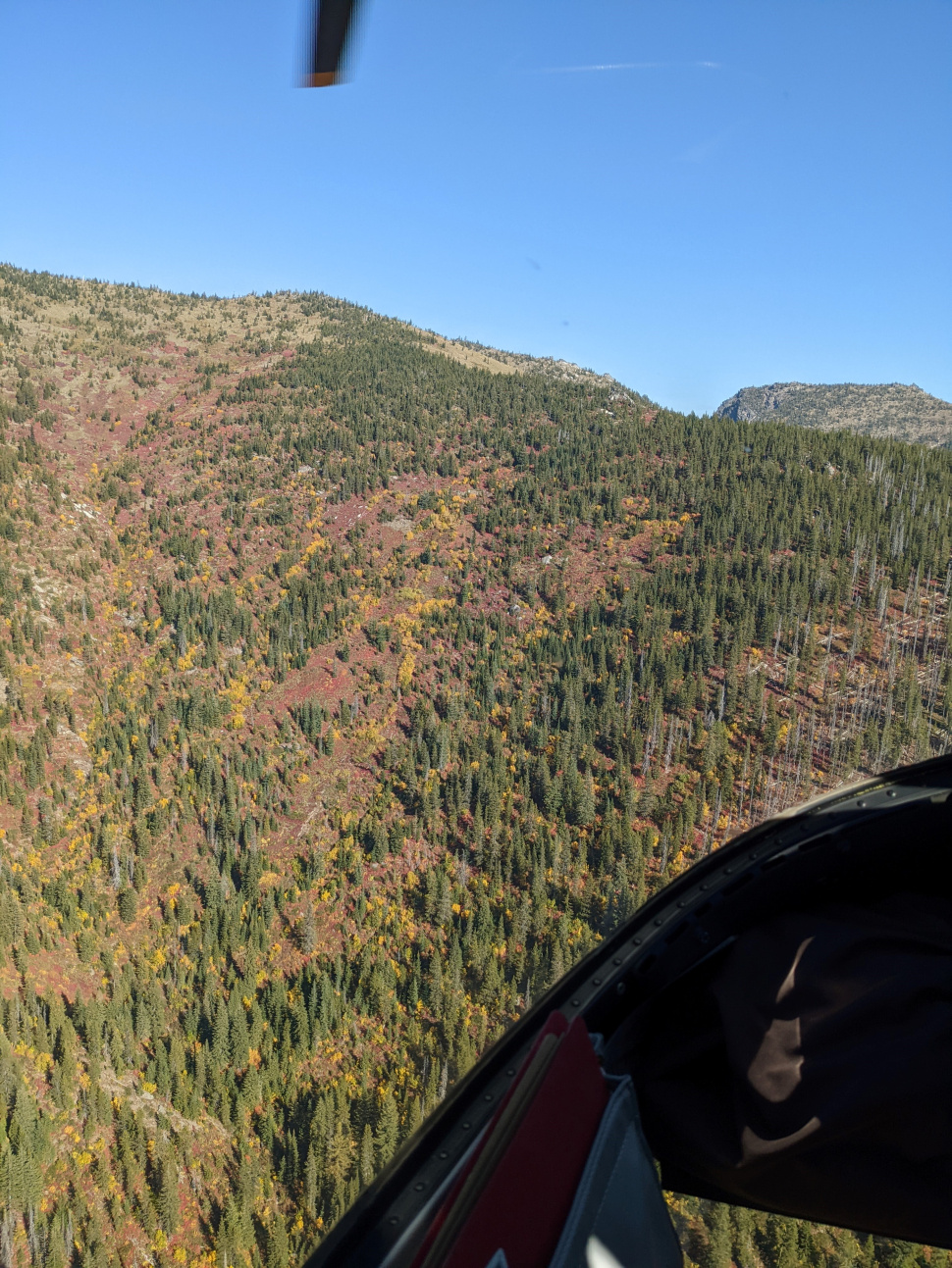 East Saddle forest management project improves elk habitat