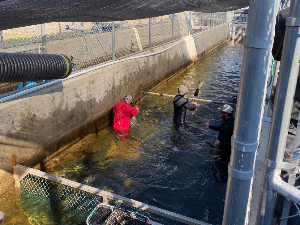 McCall Hatchery closed to public for large construction project