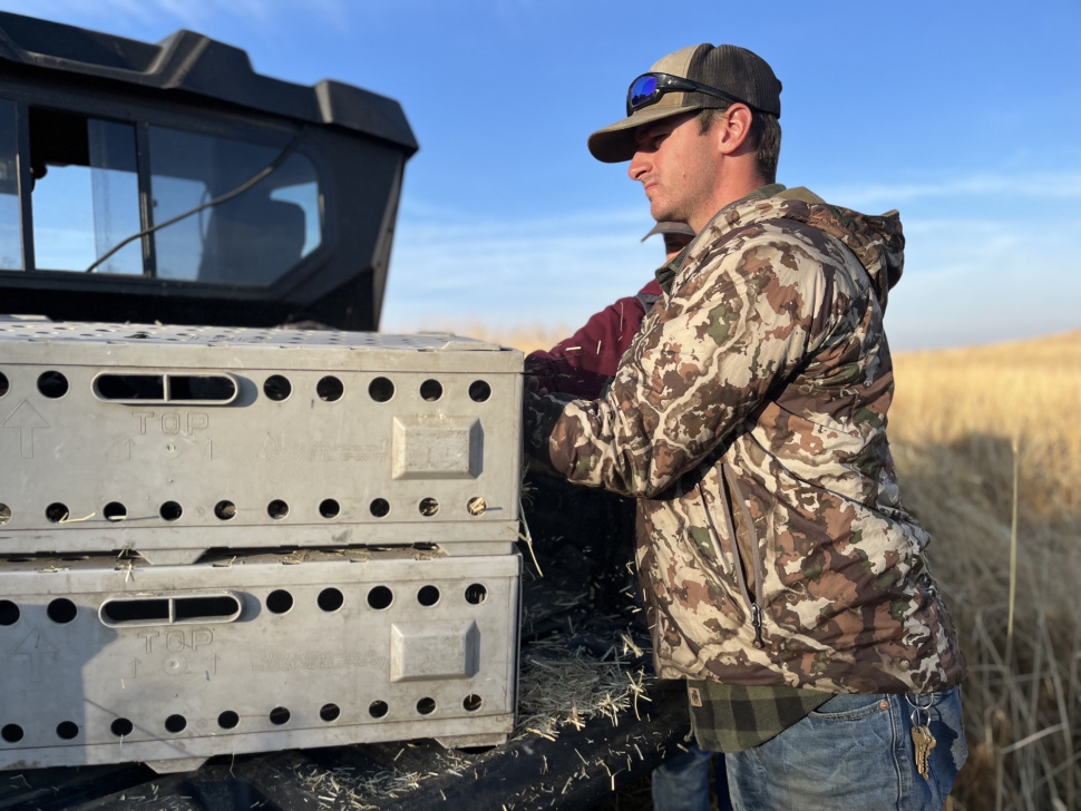 Clearwater Pheasant Stocking & Access Yes! What to Know Before You Go