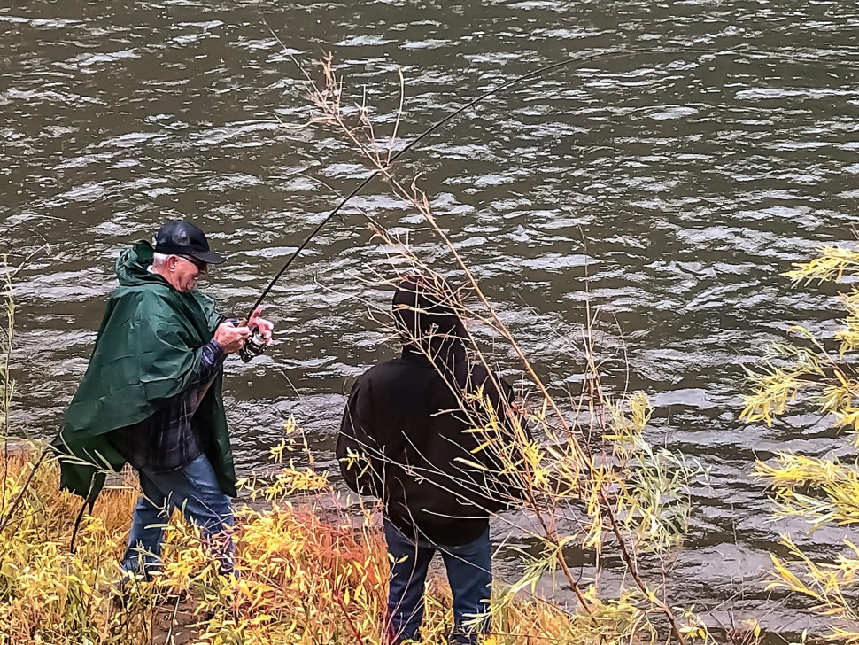 steelhead idaho salmon river fishing report oct upper idfg fish