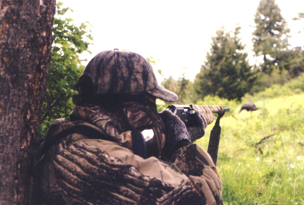 Apply now for spring bear and turkey controlled hunts Idaho Fish and Game