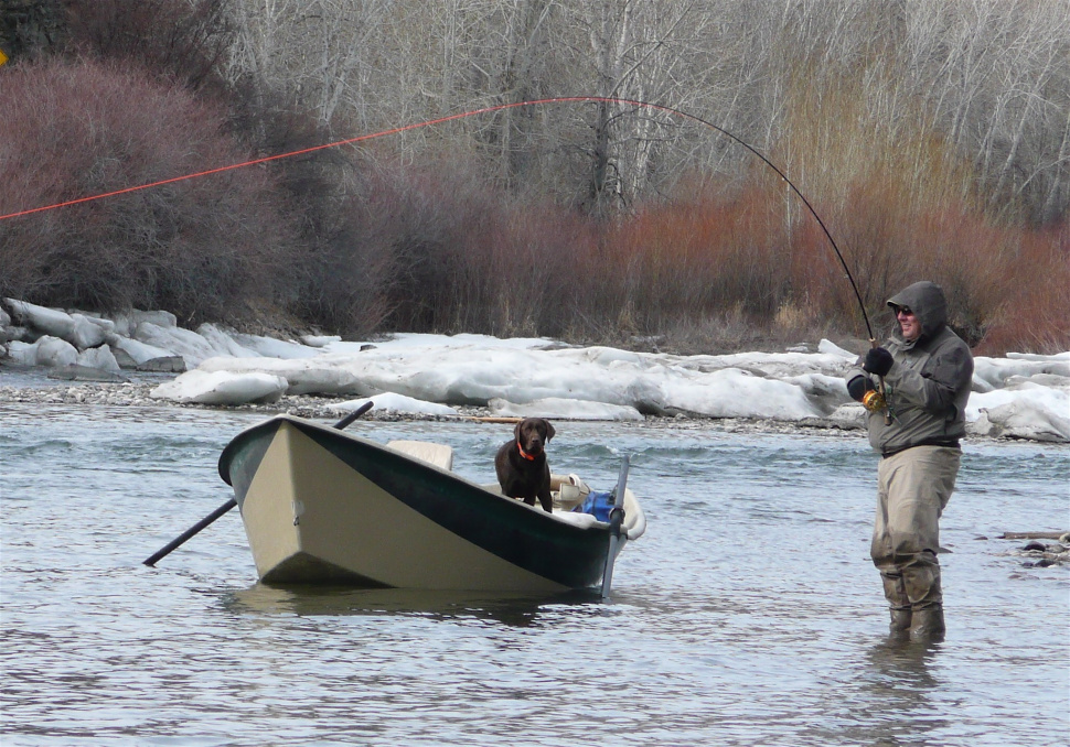 Feb. 25: Upper Salmon River steelhead fishing report | Idaho Fish and Game