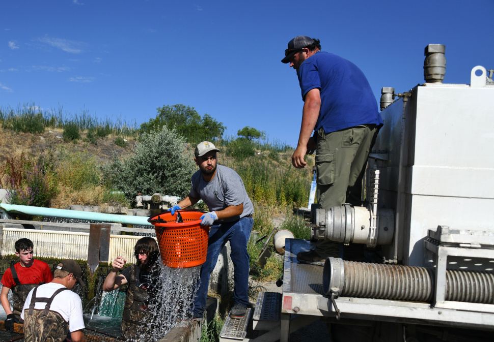 30,000 channel catfish stocked across Idaho’s lakes and reservoirs