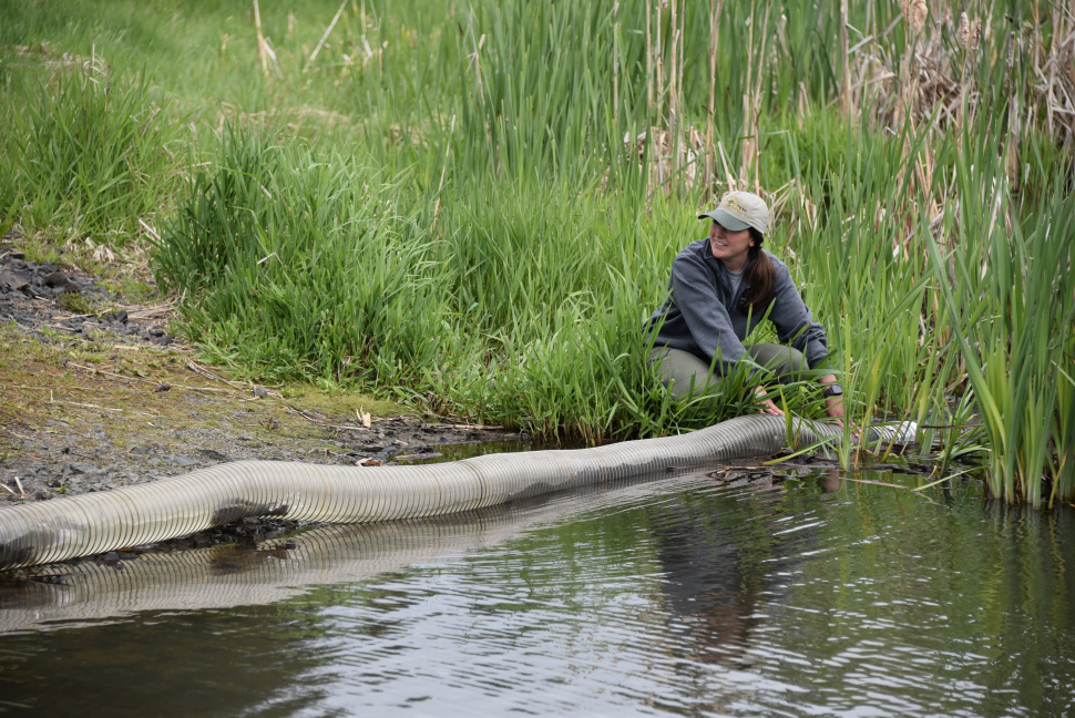 Rainbow trout stocking schedule for September in the Clearwater Region