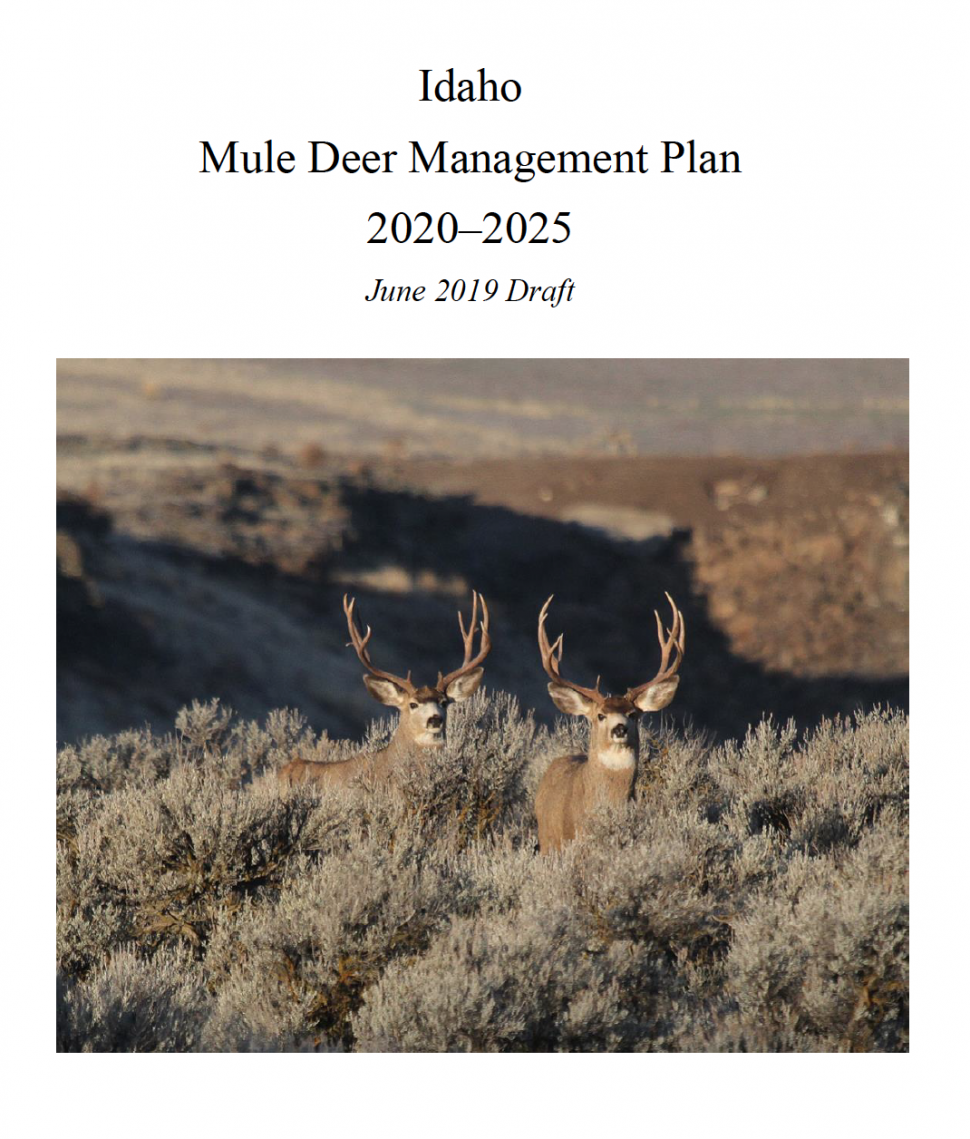 Mule deer, whitetailed deer plans available, comment period extended