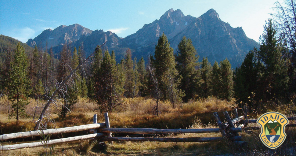 Sawtooth Zone elk tags will be sold to resident hunters July 12 Idaho