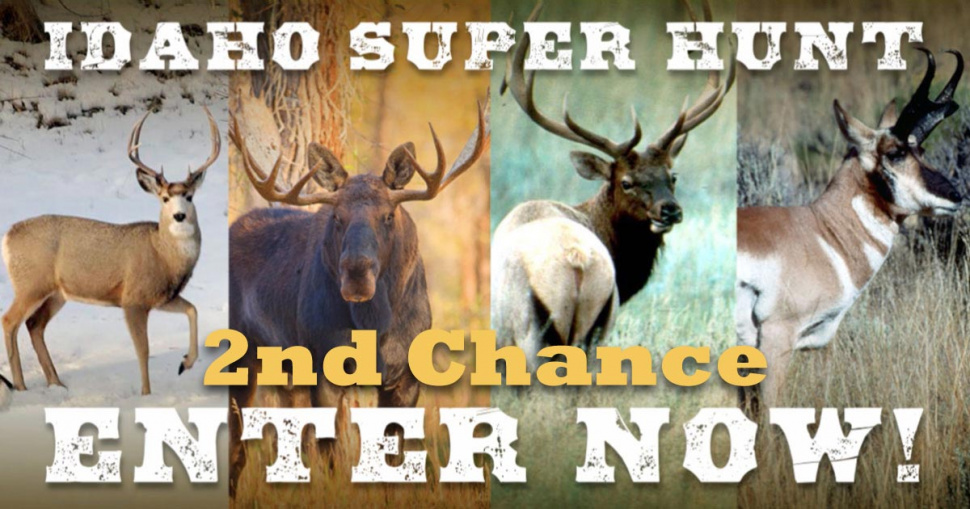 Fourteen Idaho hunters draw Super Hunt tags, second drawing deadline is