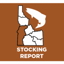 fishstocking-icon-southwest-region