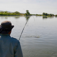 snake river bass fishing s;fkhgs;.jpg