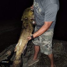 43 inch flathead catfish_jholt_2022