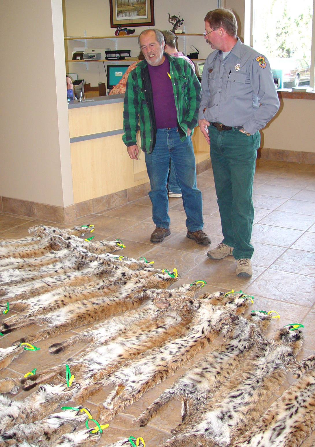 Trappers can check in bobcat pelts in Grangeville on Feb. 13 Idaho
