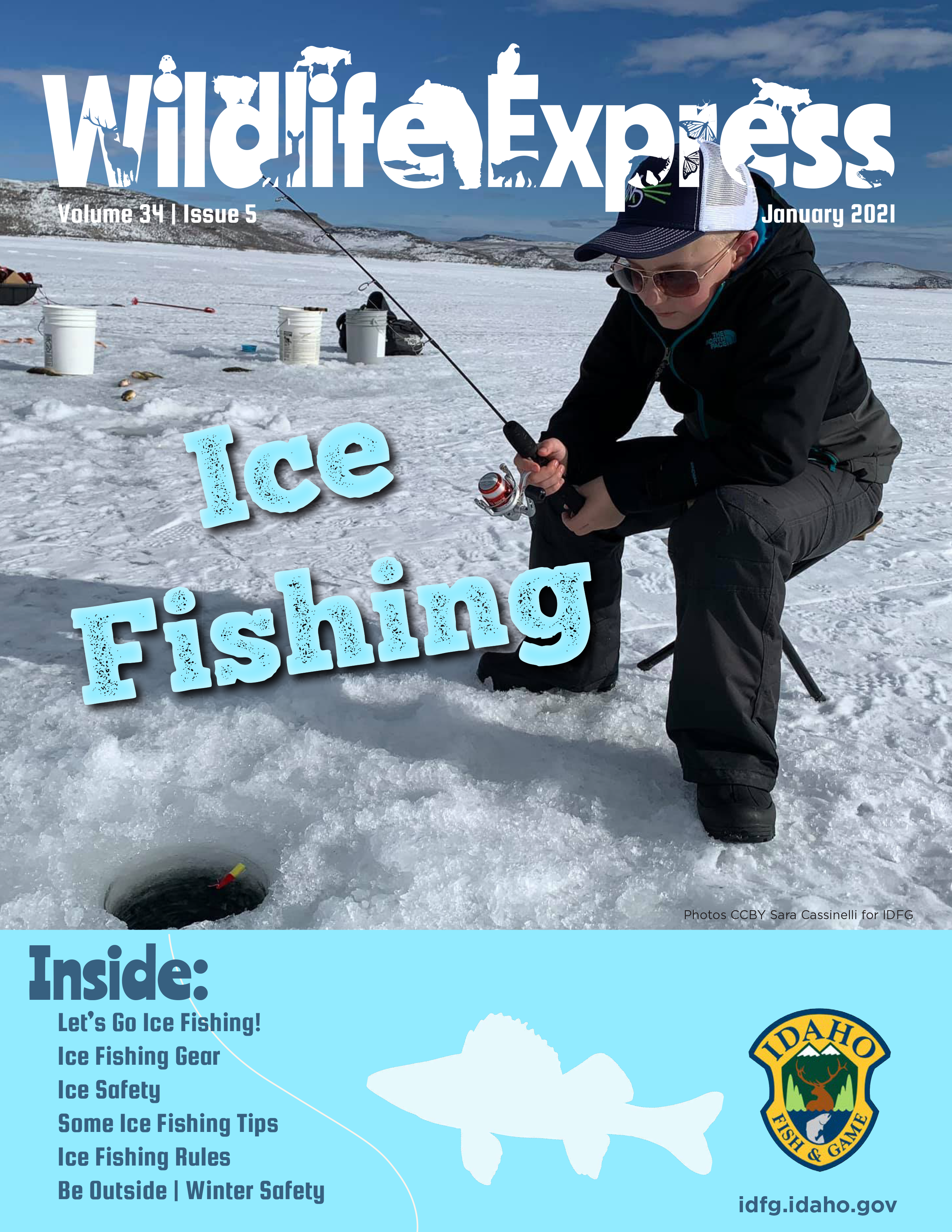 Fish education on ice