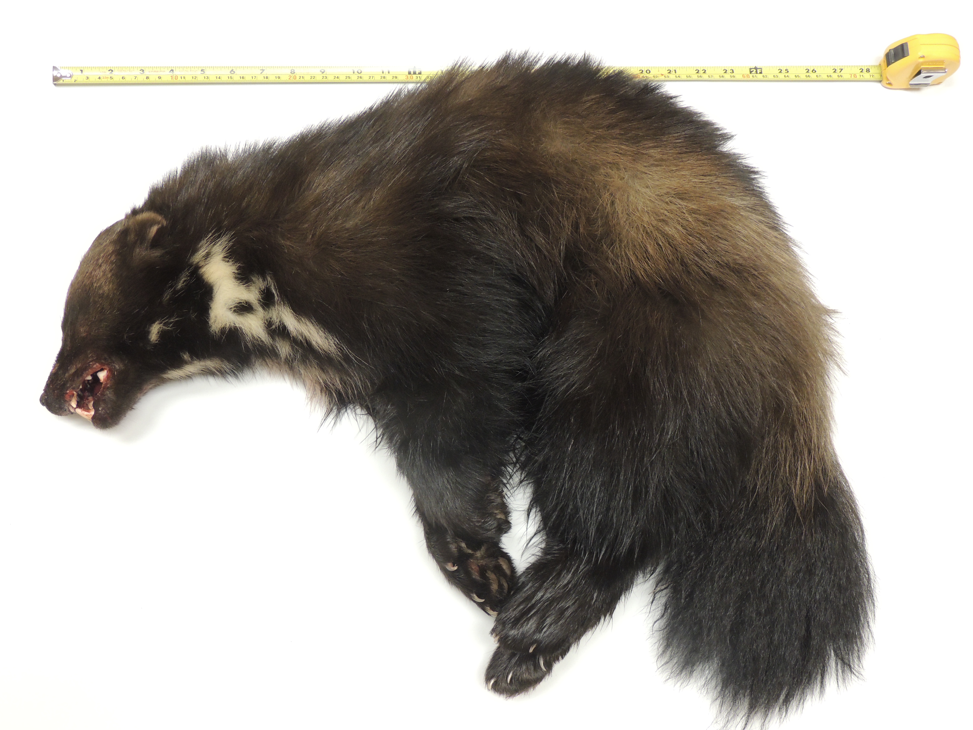 1335140 Idaho Fish and Game