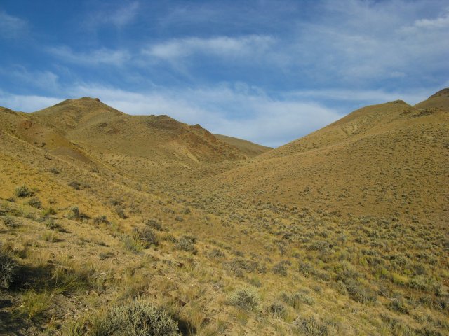 Astragalus_aquilonius_28Sept2009_CE--Landscape_WP70.jpg