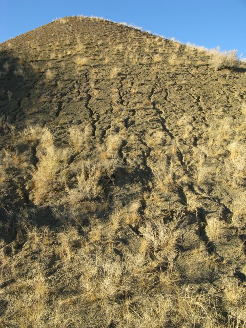 Oxytropis_besseyi_salmonensis_04Nov2009_CE--Landscape-loose_easily_eroded_soils_WP91.jpg