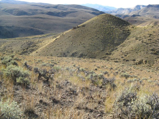 Astragalus_aquilonius_28Sep2009_CE--Landscape--WP68--A._aquilonius_sparce_on_NW_facing_slope.jpg