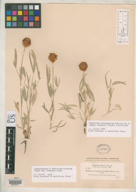 http://collections.mnh.si.edu/search/botany/?irn=2144774