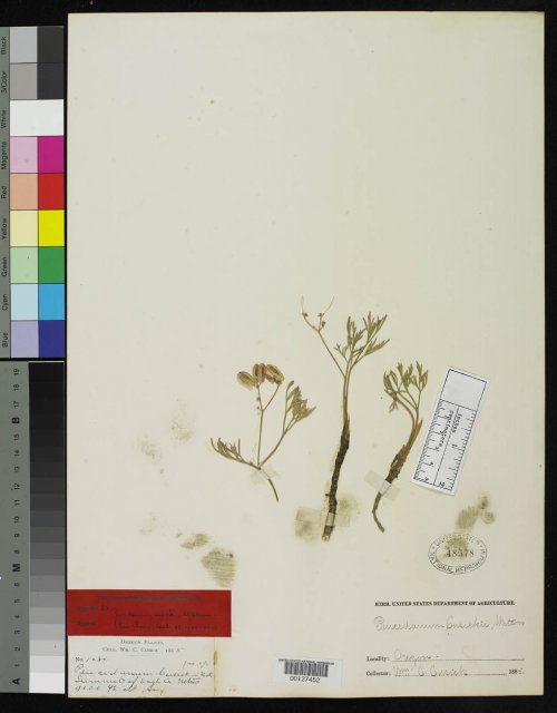 http://collections.mnh.si.edu/search/botany/?irn=2099801