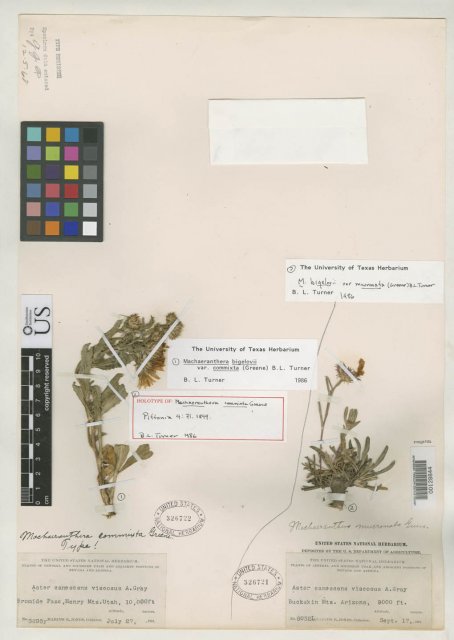 http://collections.mnh.si.edu/search/botany/?irn=2136855
