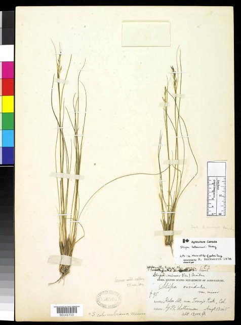 http://collections.mnh.si.edu/search/botany/?irn=2146631