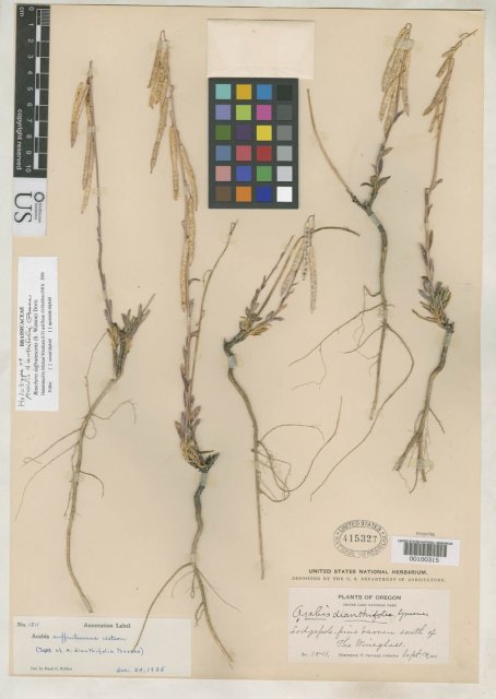 http://collections.mnh.si.edu/services/media.php?env=botany&irn=10119891