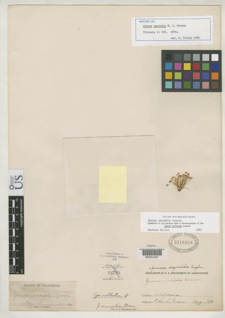 http://collections.mnh.si.edu/search/botany/?irn=2165403