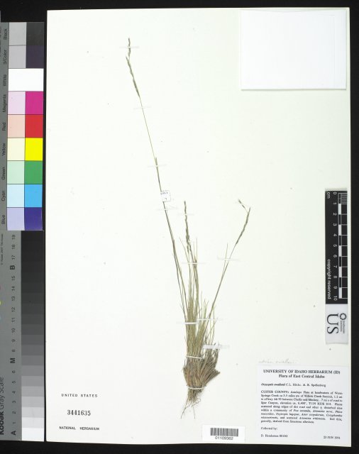 http://collections.mnh.si.edu/search/botany/?irn=10246883